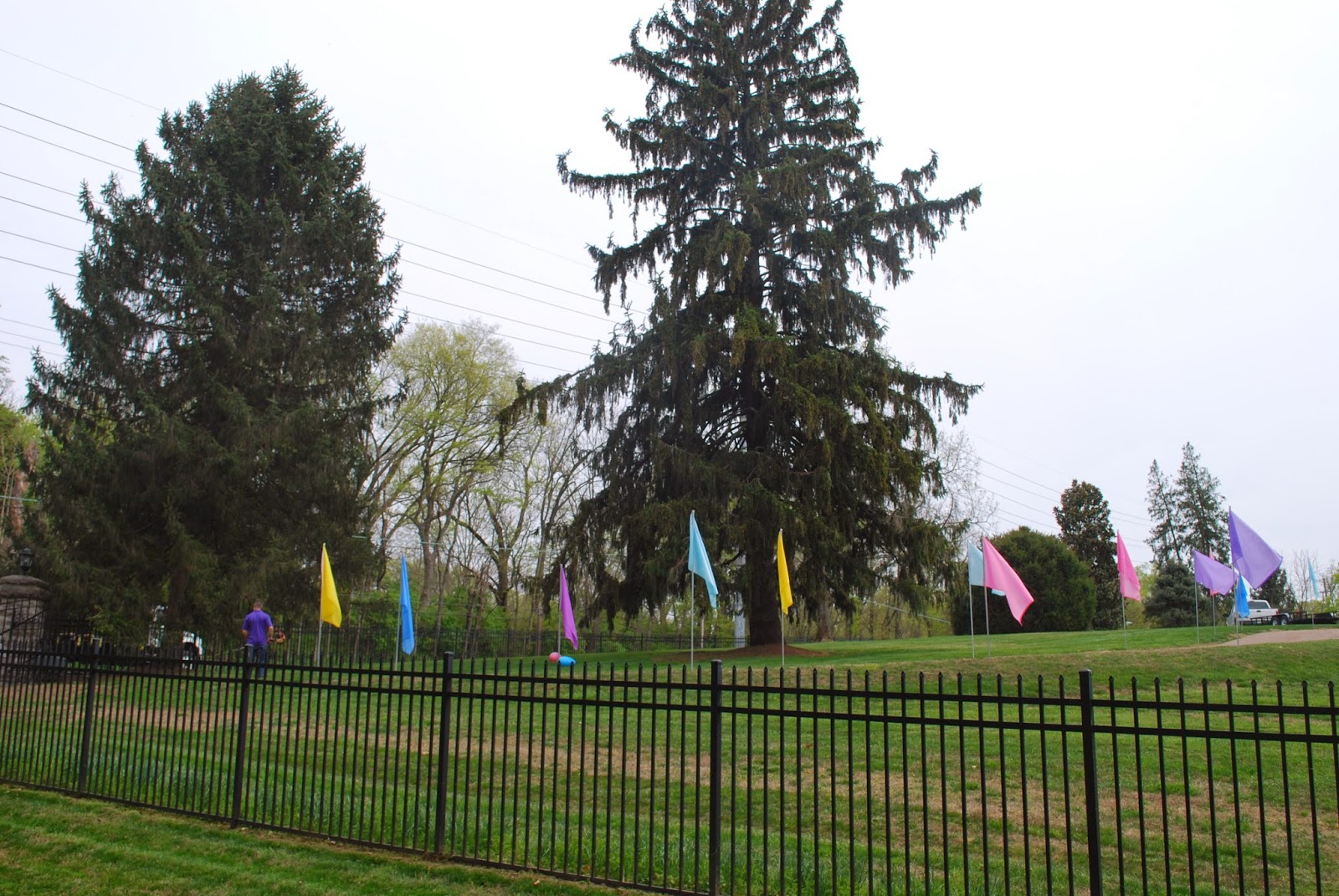 Oak Hill Tennessee Gazette Flag Day in Oak Hill?